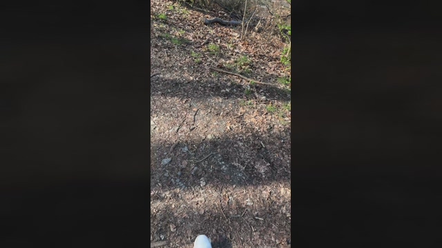PacinoDeniro  11-04-2022 Recorded Video fuckface