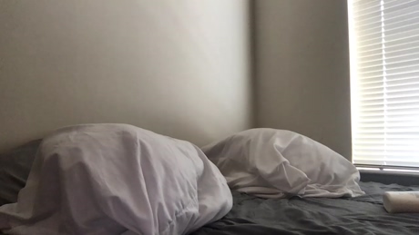 animeboygirls  10-04-2022 video suckshow