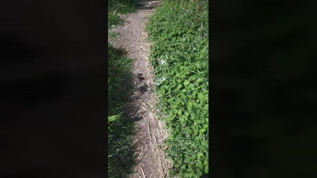 topone1  11-04-2022 Recorded Video hot