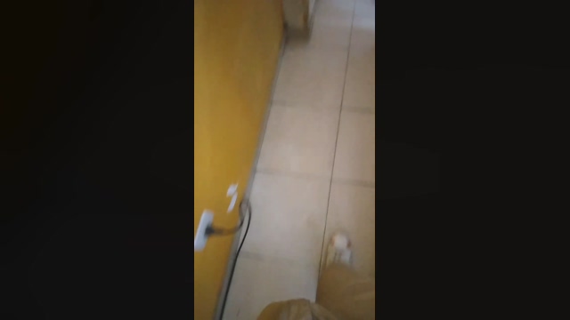 verrgoon  11-04-2022 video cute