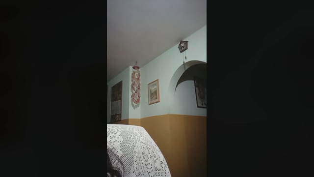 ArianaLatin