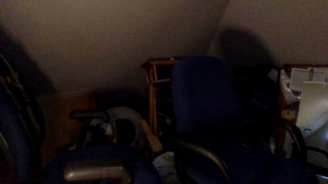 crackedcrypto  11-04-2022 video cute