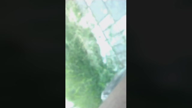Antonela_Kitty 13-04-2022 big 