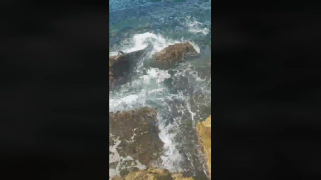 elvis34h  14-04-2022 video fingers