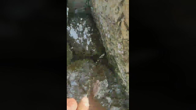 elvis34h  14-04-2022 Recorded Video naughty
