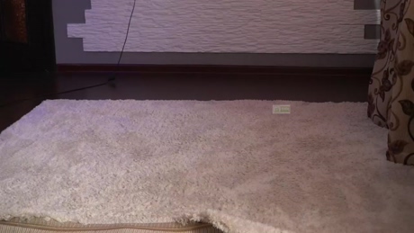 richandalfa  14-04-2022 Cam Couples