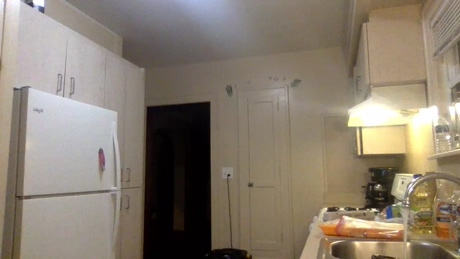 sexylax69  14-04-2022 video jerkoff