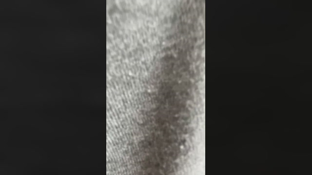 Pispol8  15-04-2022 Recorded Video Webcam