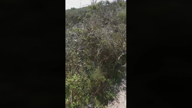 chrislope2  15-04-2022 video lush