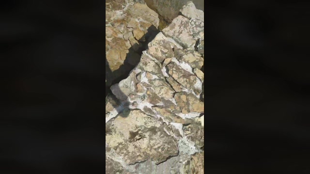 elvis34h  15-04-2022 Recorded Video Ass