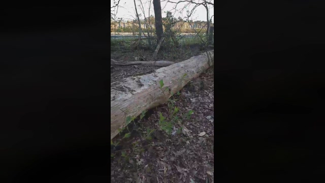 hotbody18y  14-04-2022 Recorded Video love