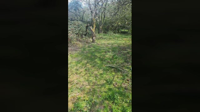 tyrel25_fun  15-04-2022 Recorded Video hot
