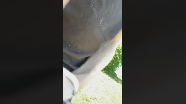 DutchGuyExhib  16-04-2022 Recorded Video Topless