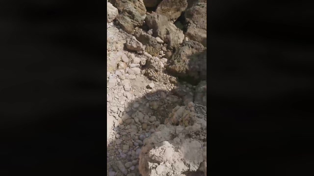 Slavomir78  16-04-2022 video love