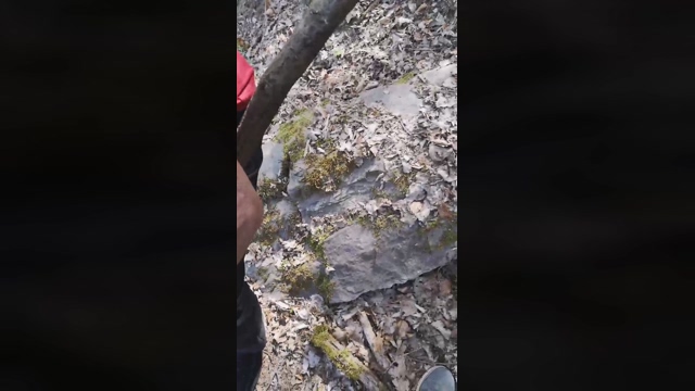 hairycockxxx  17-04-2022 video gag