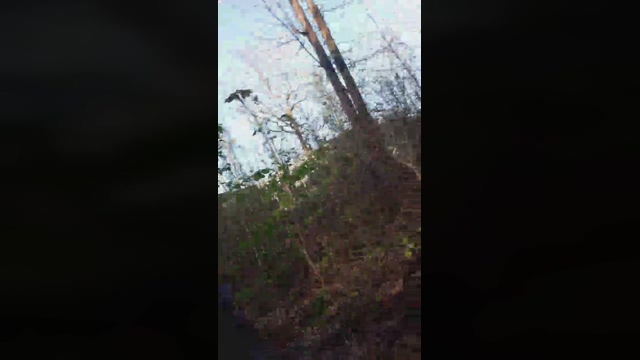 fischer2561  18-04-2022 Recorded Video Video