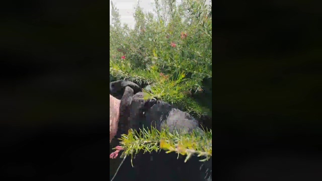 Onlyforyou444  20-04-2022 video deep