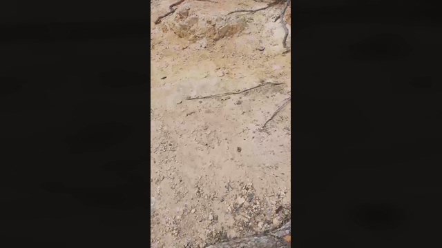 Slavomir78  20-04-2022 video Cam