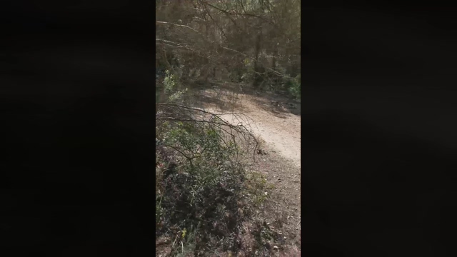 Slavomir78  20-04-2022 video naughty