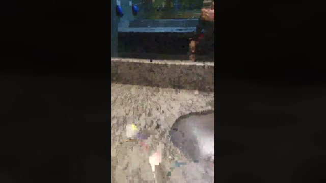 juanporonga3  21-04-2022 video nasty