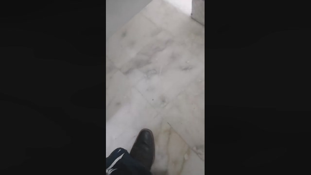 SEGUNDOPOT  23-04-2022 video cute