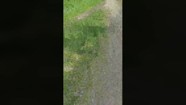 blueliott  22-04-2022 video jerkoff