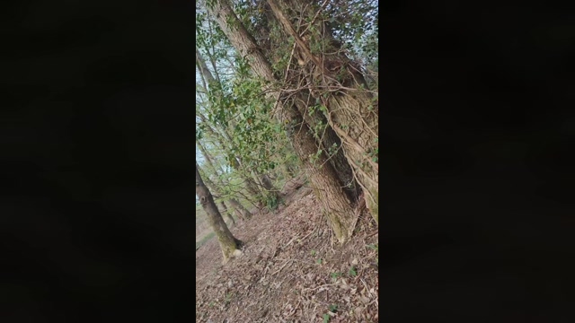 Parejaff30  23-04-2022 Recorded Video legs