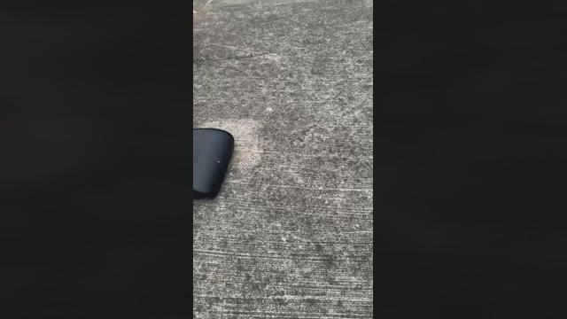 rex_2327  24-04-2022 Recorded Video amateur