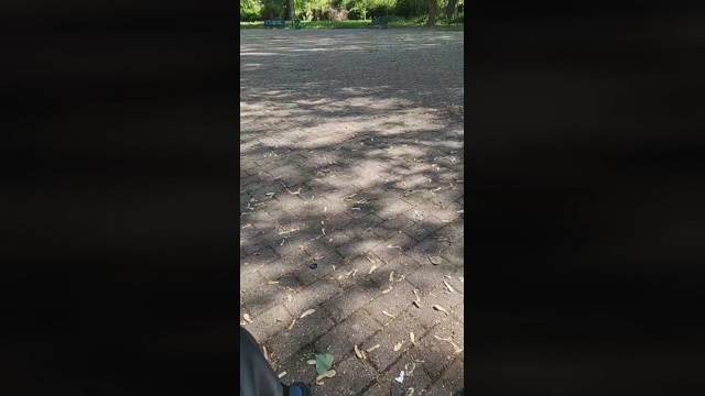 Pagani56  25-04-2022 Recorded Video Pretty