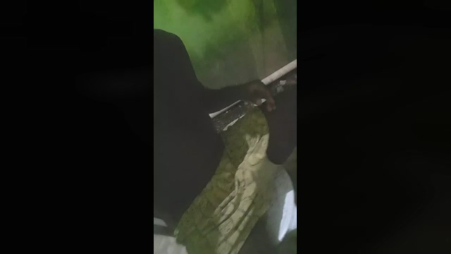 davieivan4  26-04-2022 video bigtoys