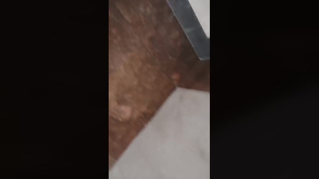 SEGUNDOPOT  28-04-2022 video deep