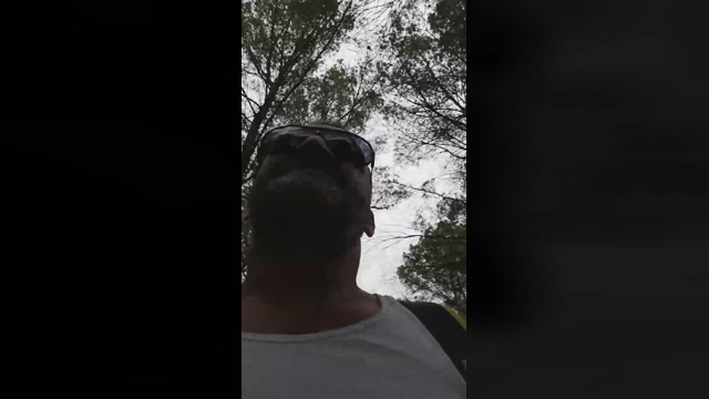 Slavomir78  28-04-2022 video strip