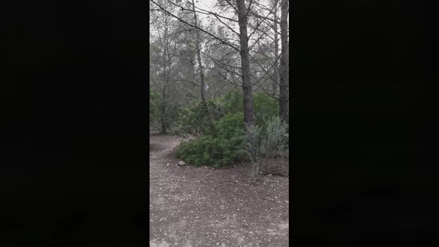 Slavomir78  28-04-2022 Recorded Video bigtoys