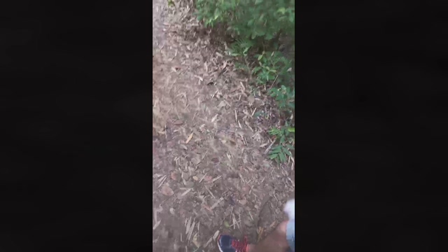 ativofln  27-04-2022 video ass