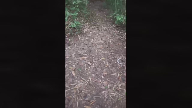 ativofln  27-04-2022 Recorded Video suckcock