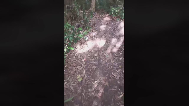 ativofln  27-04-2022 Recorded Video jerking