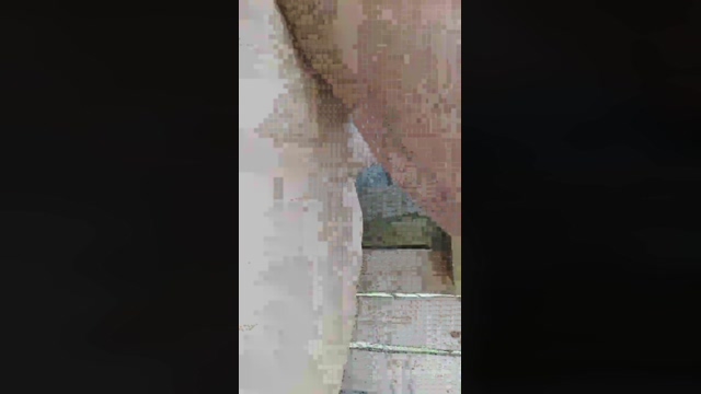Fischie  29-04-2022 Recorded Video bigdick