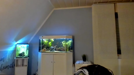 ronhill13  29-04-2022 Recorded Video Cam