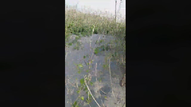 tarcton78  30-04-2022 Recorded Video kissing
