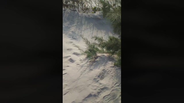 tarcton78  30-04-2022 video big