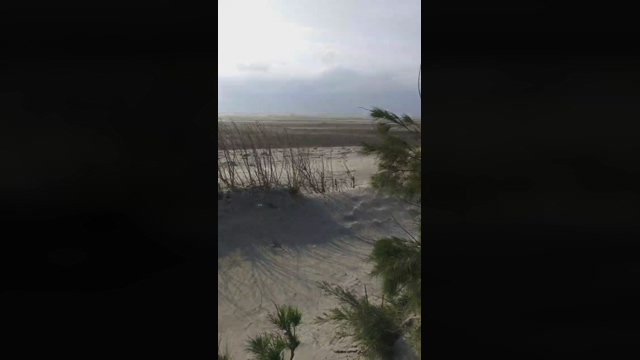 tarcton78  30-04-2022 video sweet