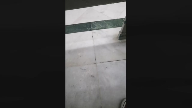 SEGUNDOPOT  01-05-2022 video fuckface