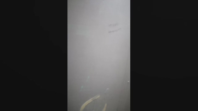 SEGUNDOPOT  02-05-2022 Recorded Video XXX
