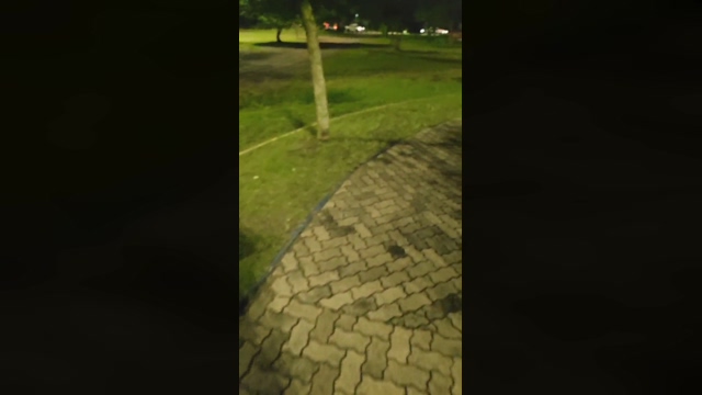 gamerdotado  02-05-2022 video beauty