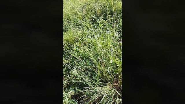 leandro30304  01-05-2022 Recorded Video fuckher