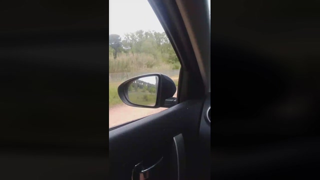 bnees  03-05-2022 Recorded Video gay