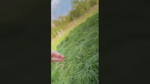 jungergeiler111  03-05-2022 Recorded Video beauty