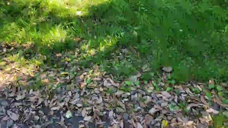 sorato111  03-05-2022 video strip