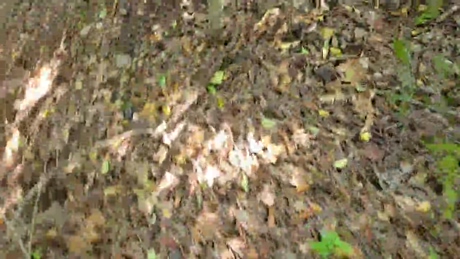 sorato111  03-05-2022 video sex