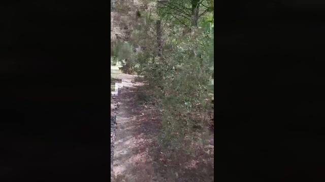 Slavomir78  07-05-2022 Recorded Video suck